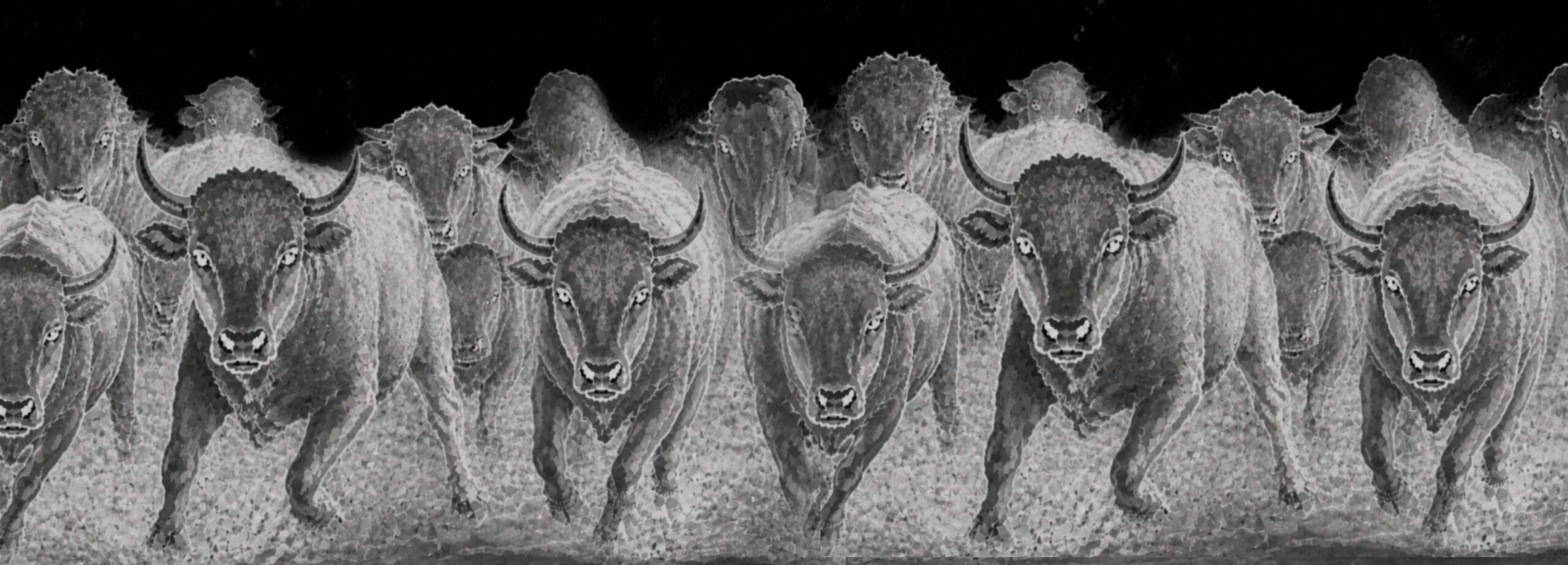 bull-run3