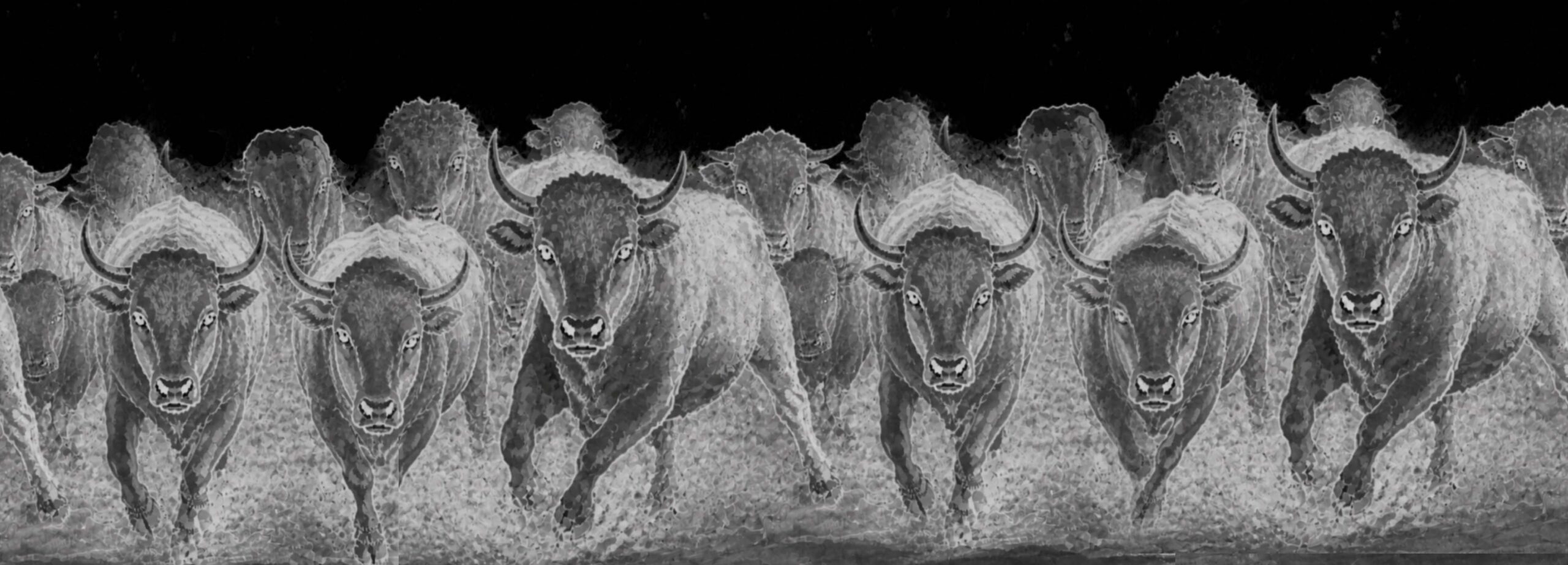 bull-run4